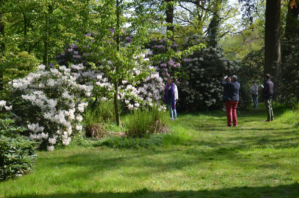 Plantentuin Meise